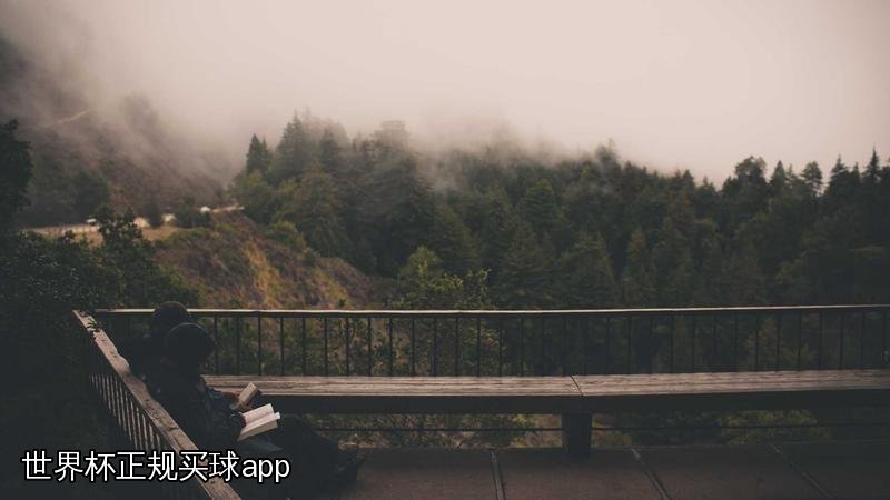 世界杯正规买球app