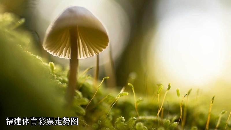 福建体育彩票走势图