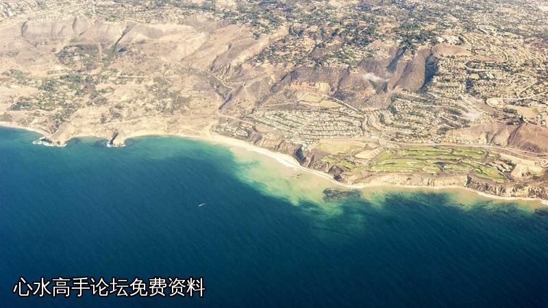 心水高手论坛免费资料