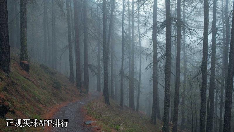正规买球APP排行