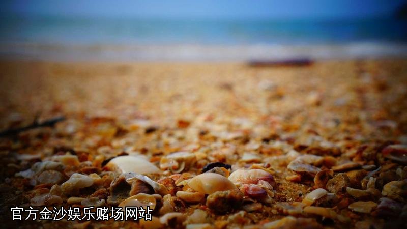 官方金沙娱乐赌场网站