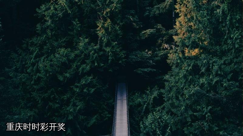 重庆时时彩开奖