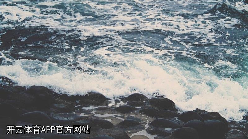 开云体育APP官方网站