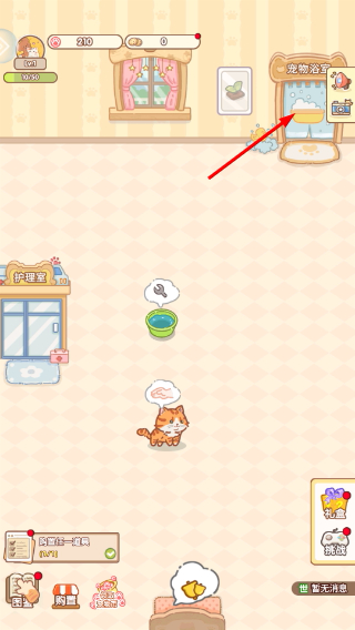 糖果猫