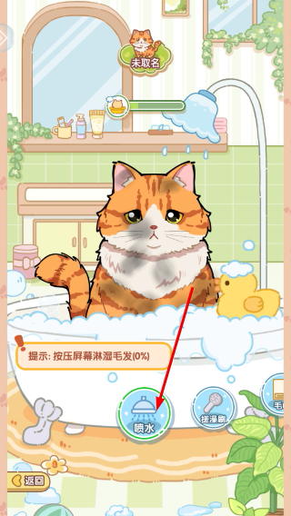 糖果猫