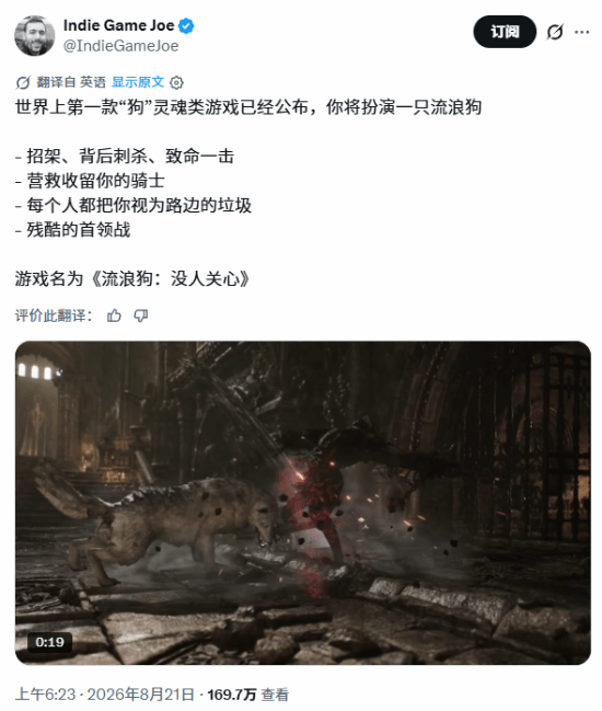 国产独立游戏只狗:路边一条以流浪犬视角引爆全球关注