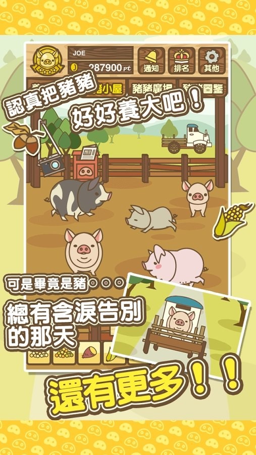 养猪场mix内置菜单 1